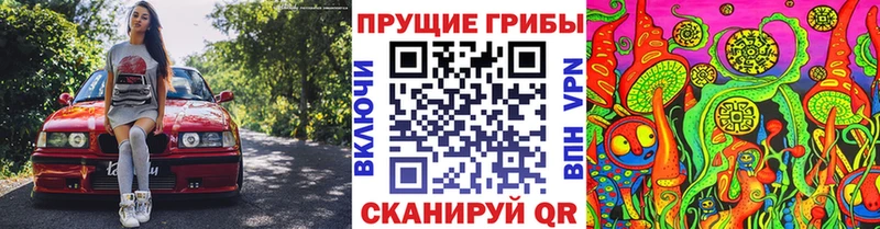 hydra ссылки  сколько стоит  Магнитогорск  Псилоцибиновые грибы MAGIC MUSHROOMS 